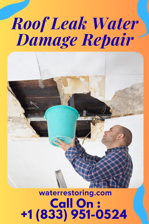 Roof Leak Water Damage Repair in Millbrae, CA